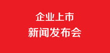 企業(yè)上市發(fā)布會與企業(yè)形象策劃 雙輪驅(qū)動(dòng)，共鑄品牌新篇章